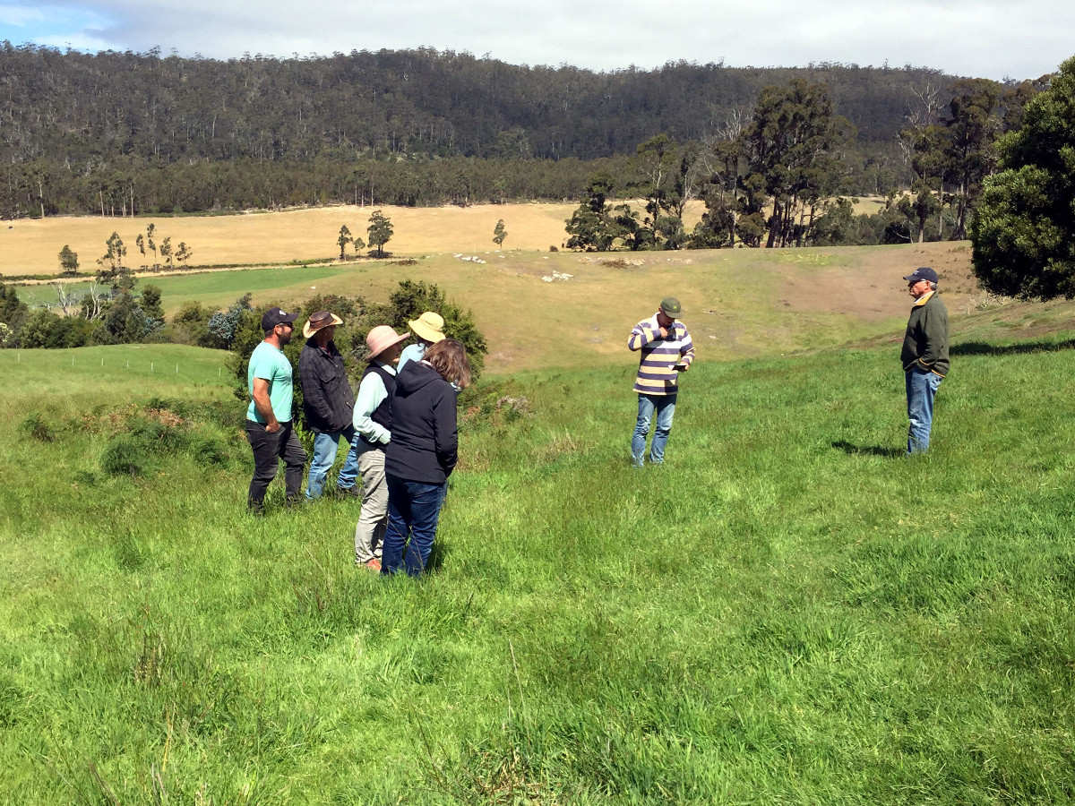 Manage Pasture and Improve Soils on the Tasman